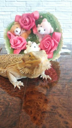 Букет из мишек