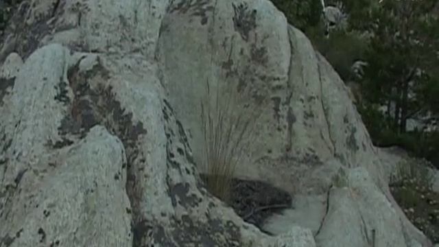 Карагай - 2013 смотреть онлайн