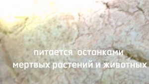 Ар-Эд .
1500 метров под землей