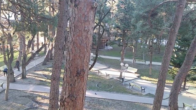 Геленджик 2024 - Красная Талка - Вид из номера - 29 февраля 2024