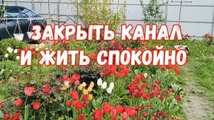 #8🌷Пенсию заработала/Могу работать на себя