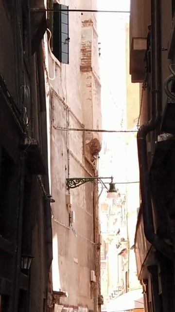 Venice Street City Tourism Italy Architecture.shorts. Венеция Улица Город Туризм Италия Архитектуры