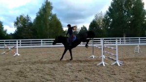 Мои 5 лет занятий конного спорта 💗🐎