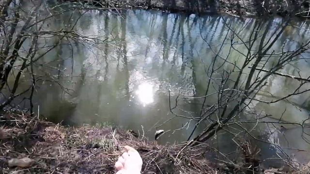 Охота с рогаткой (мини рыба) смотреть онлайн