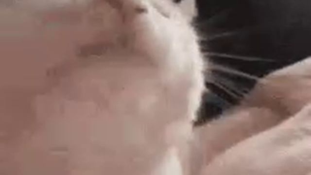 это капец