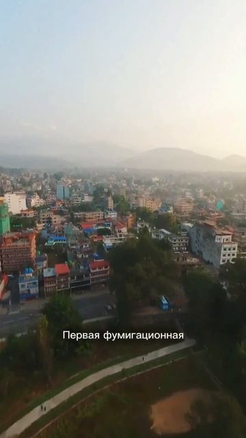 Как успешно развивать 7 бизнесов и жить яркую жизнь.