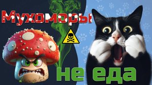 Мухоморы не еда