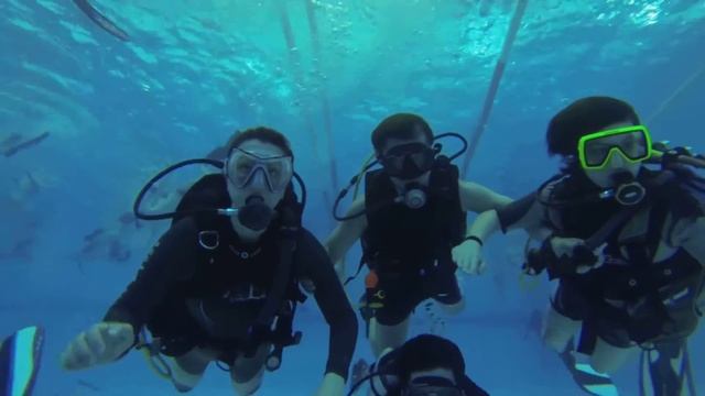 теплицкие смотреть онлайн