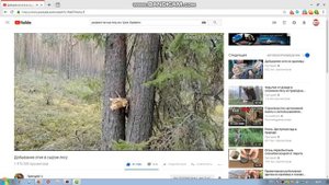 КАНАЛ  Григорий