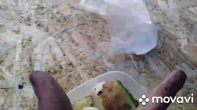 Исследуем новые места. смотреть онлайн