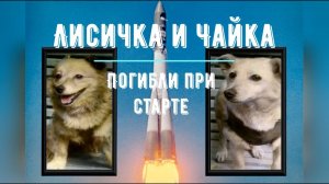 История космонавтики. "Собаки-космонавты. Лисичка и Чайка. Погибли при старте"