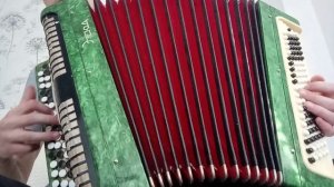 Салават Фатхетдинов - Бер егет гармун сайлый (на баяне)