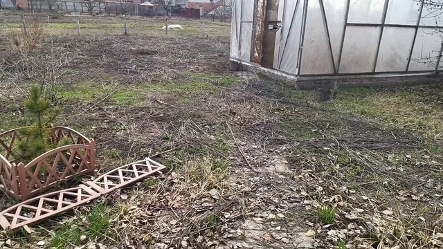 Нужно принять тяжёлое решение по продаже дома. Уборка во дворе. Ремонтные работы.