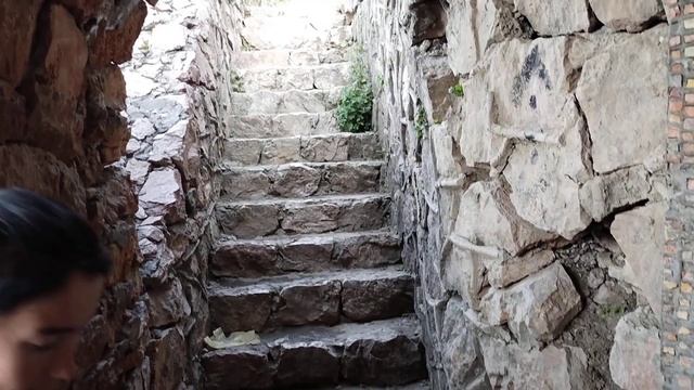 жиззах зомин смотреть онлайн