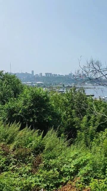 Здесь прошло мое детство и юность #владивосток #моргородок #vl смотреть онлайн