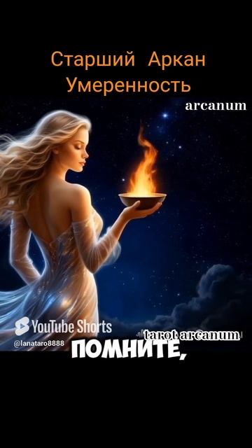 #карта дня #таро #предсказание