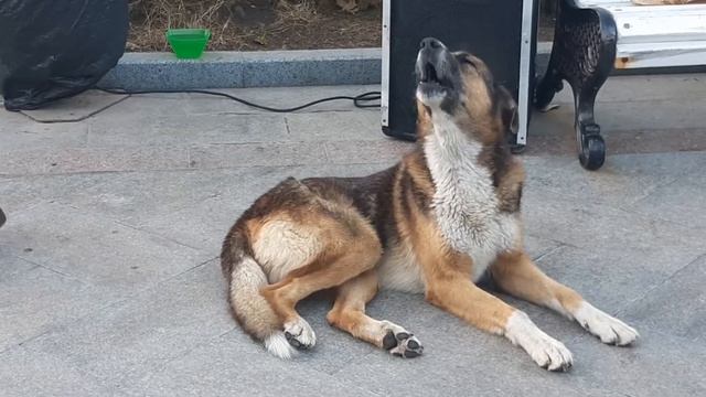 13 20181028 162533 смотреть онлайн