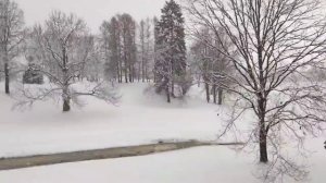 Парк Ораниенбаум зимой