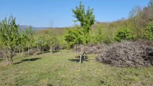 Участки  ИЖС Севастополь, село Морозовка
