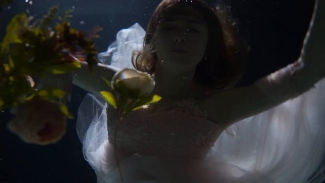 Видео на черном фон в студии NEMO смотреть онлайн