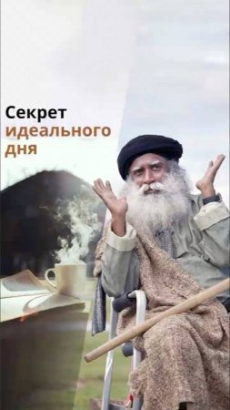 Секрет идеального дня