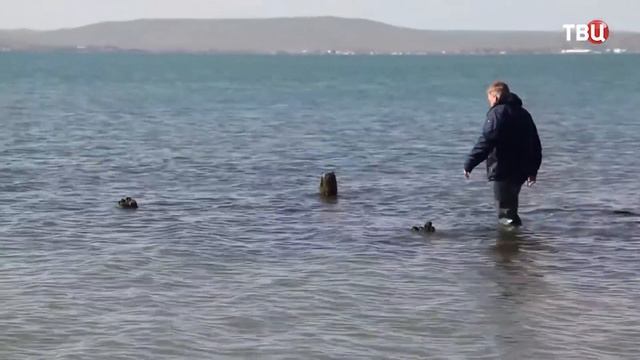 История места Керченского моста