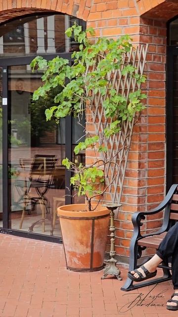 Лиепая. Отель-галерея. ДР дочери 🥳 #tashabordeaux смотреть онлайн