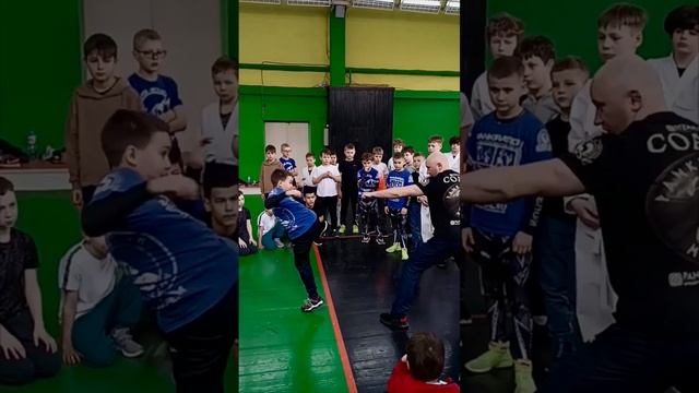 -3512414763732186678