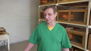 Как подоить змею?