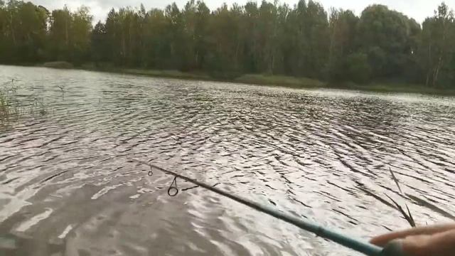 #Окунь #осень #crazyfish Осенняя рыбалка на Polaris от Сrazy fish на окуня! Приметы рыбака! смотреть онлайн
