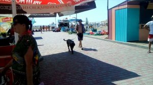 Новофедоровка, дикий пляж, 24 июля.