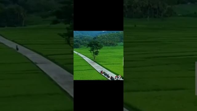 226. Gemah ripah loh jinawi, tata tentrem kerta raharjo. смотреть онлайн