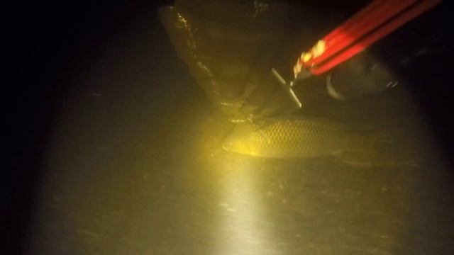 подводная охота ,хорошее начало весны ) смотреть онлайн