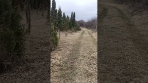 1000322430.mp4 НАЛЬЧИК- март 2024..мои прогулки