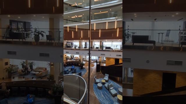 Отель DoubleTree by Hilton Moscow - Vnukovo Airport , г.Москва. смотреть онлайн