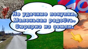 Не удачные покупки. Маленькая радость.Сюрприз из земли.