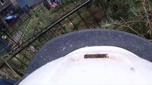Неожиданно кочерга отломилась прямо на дереве Гаффы Букингем Buckingham отзывы