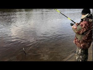 Ловля щуки 4 сентября 2020 г.