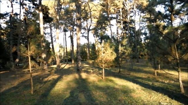 Хештеги #трамвайный маршрут № 3 #дендрарий краснодар (часть 2)