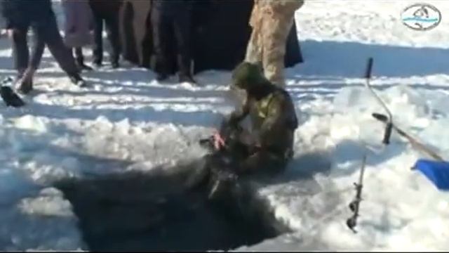 Видео отчёт о совместном зимнем выезде на природу.отАлександра Мига смотреть онлайн