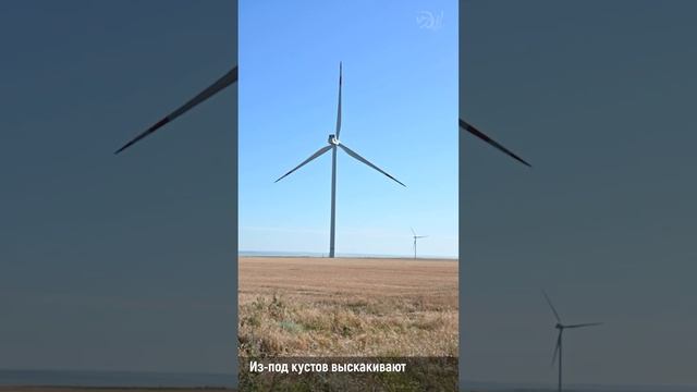 Белые Титаны "зелёной энергетики" на трассе M4