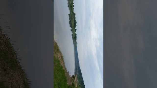 клевые места.здесь всегда клюет.а рыбка очен фкуснаяя смотреть онлайн