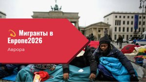 💫 Мигранты в Европе 2026