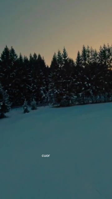 Кватро — Love in Portofino смотреть онлайн