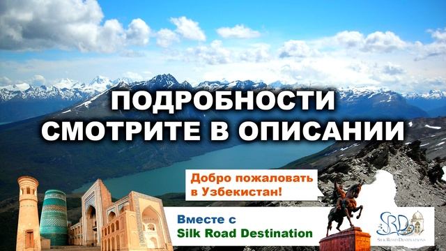 Бизнес тур смотреть онлайн