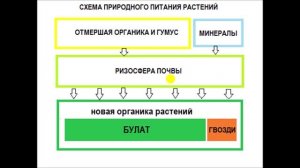 А.Ю. Ваулин: Альтернативная теория ризосферного питания растений
