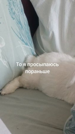 если завтра выходной...🙂