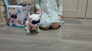 Полинкины рассказы