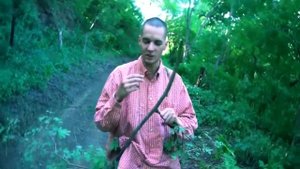 Выживание в лесу by Azazin Kreet. Без рекламы все 3 части