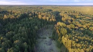 Монашеский пруд рядом с деревнями Старокрещено и Маскичи, Яранский район, Кировская область